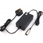 24V Quantum Vibe Battery Charger